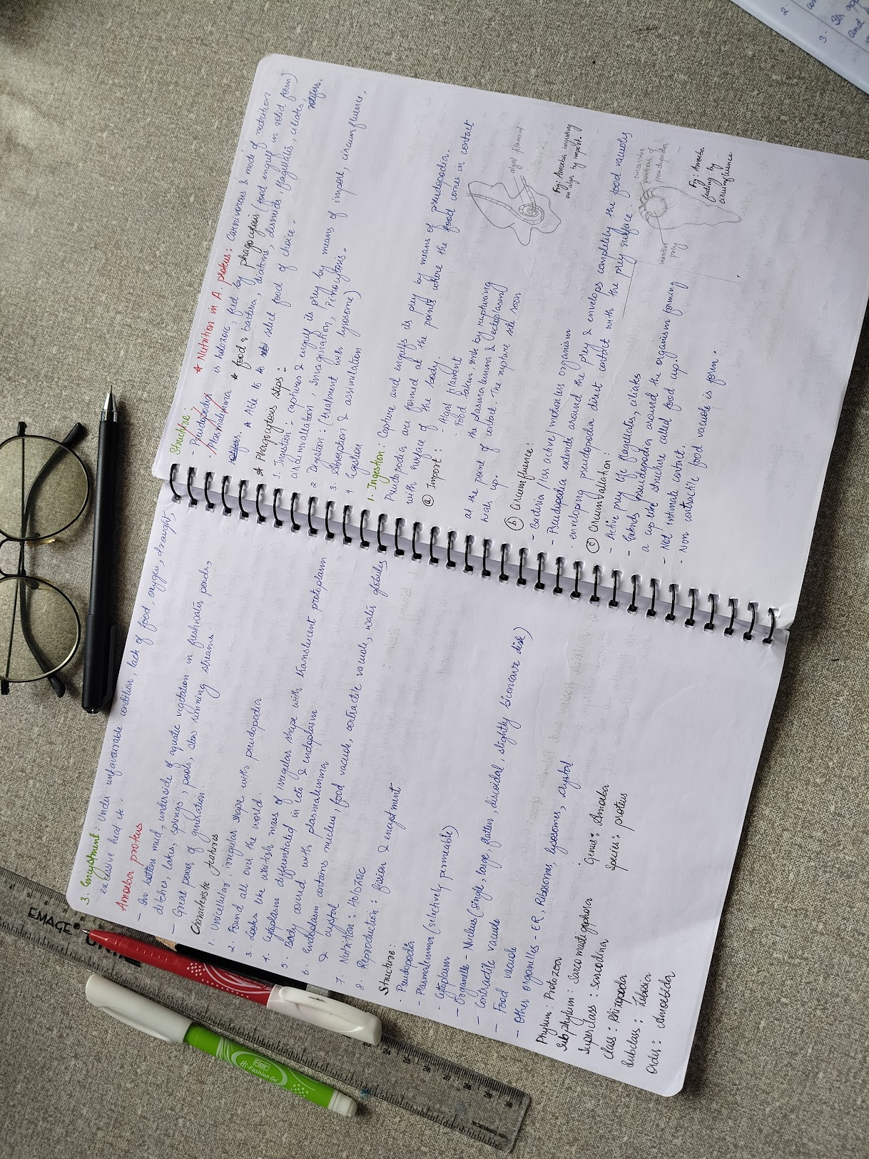 Handwriting sample with colored ink